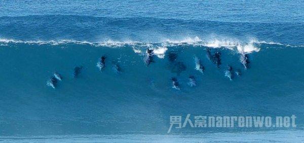逃离黄金城堡