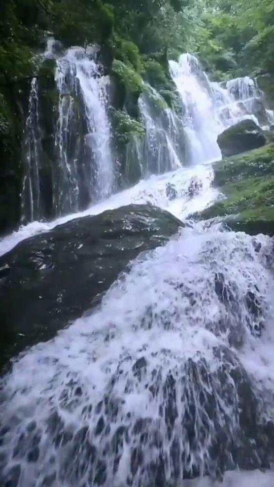 今日申购:北自科技