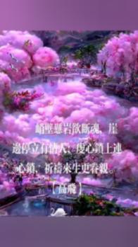 逃离违建房屋8